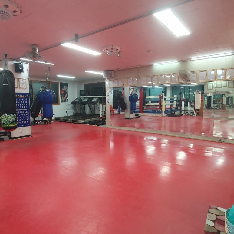 상록복싱체육관 이미지
