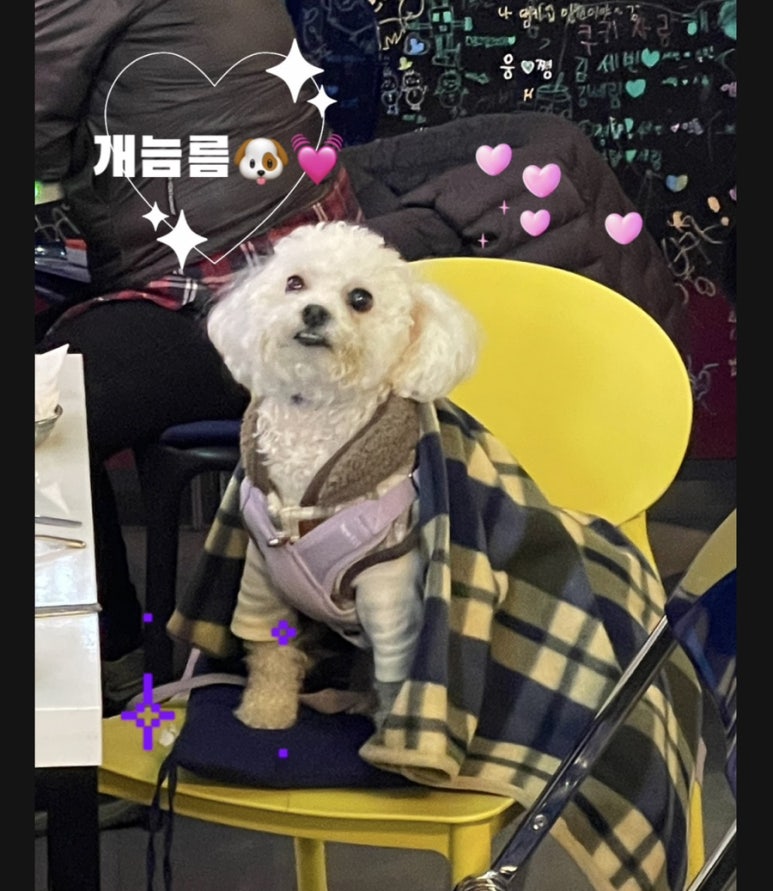 월드컵노래주점 이미지