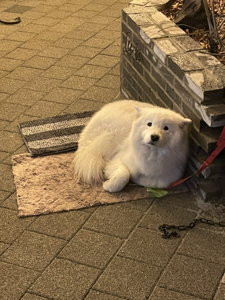 누림축산 이미지