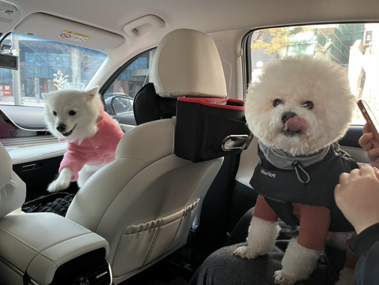 카페우리집 이미지