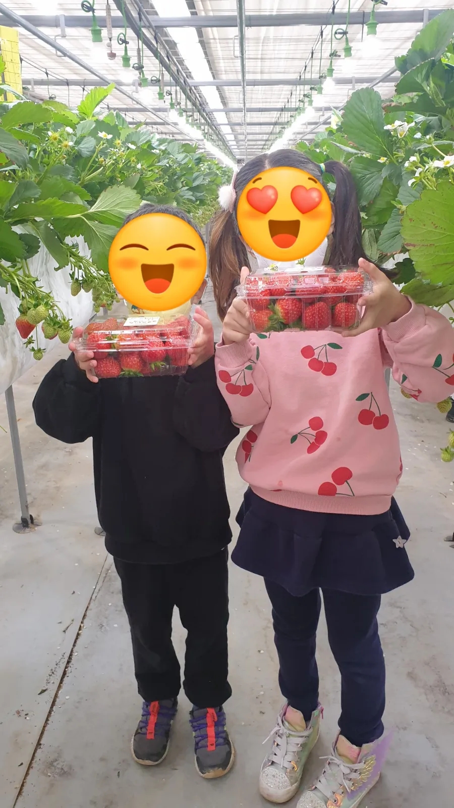 향아농원 이미지