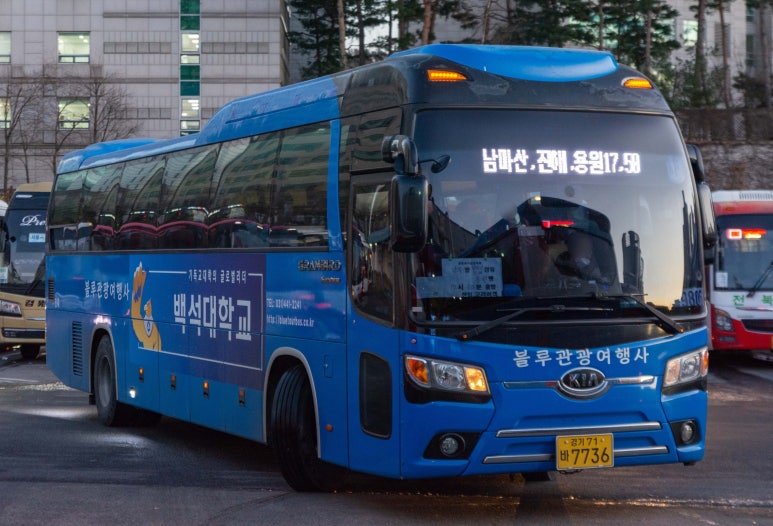 천일관광여행사 이미지