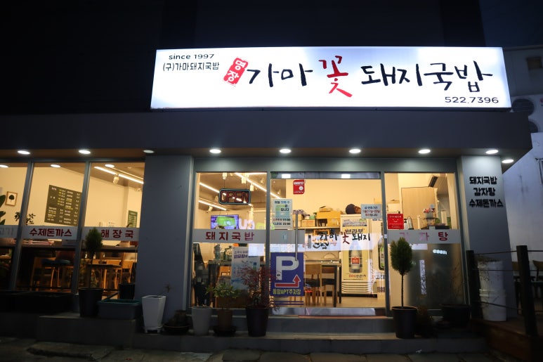 가마꽃돼지 이미지