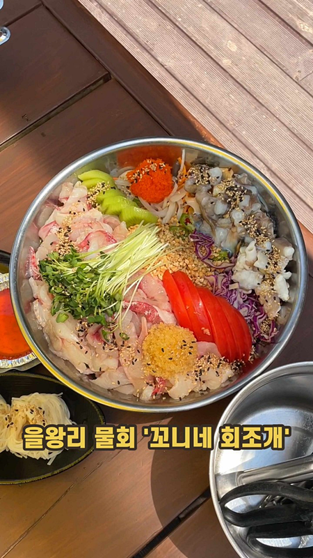 꼬니네회조개 이미지