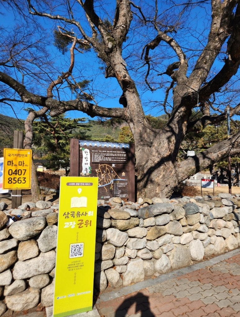 부림중기 이미지