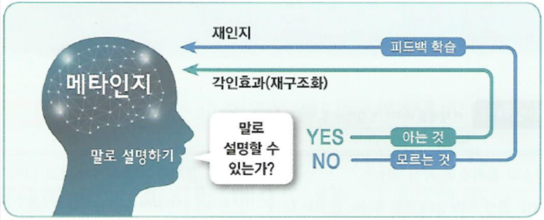 인지망 이미지