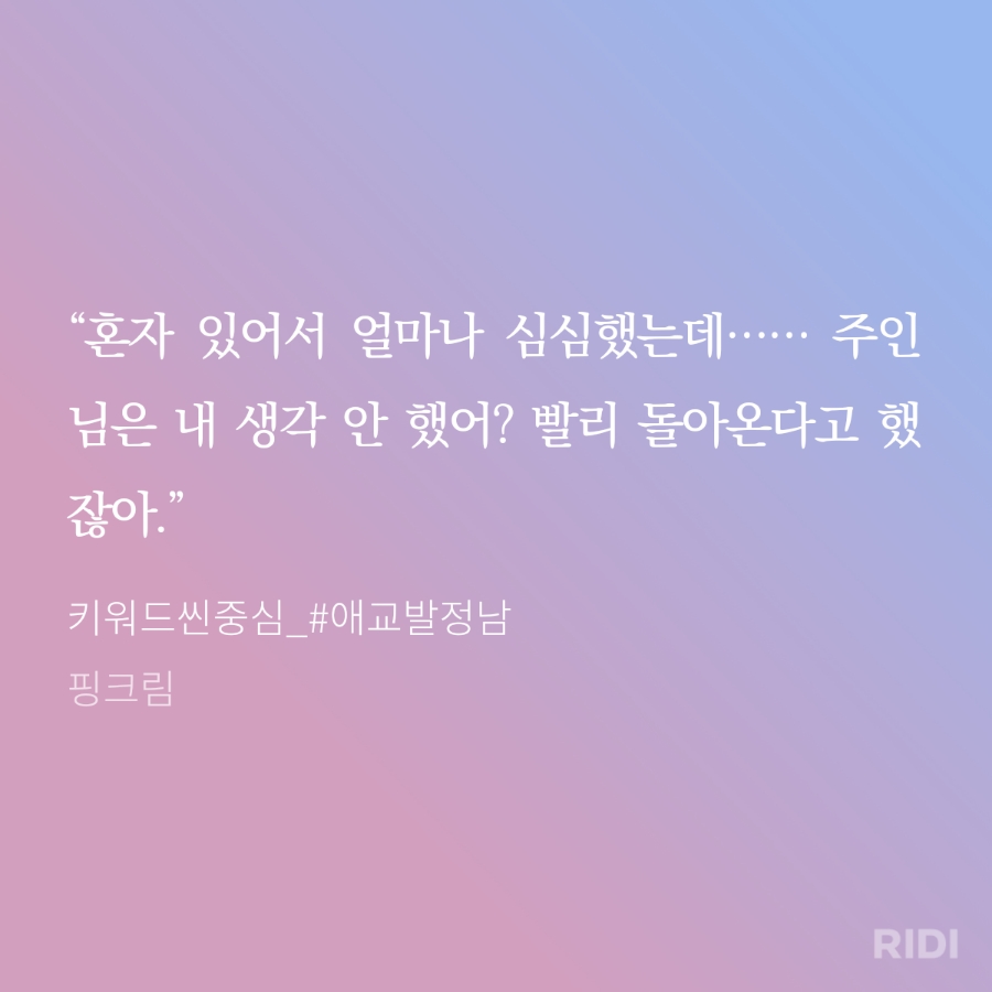 티.이.씨아카데미 이미지
