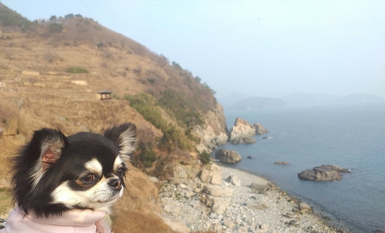 이오민박 이미지