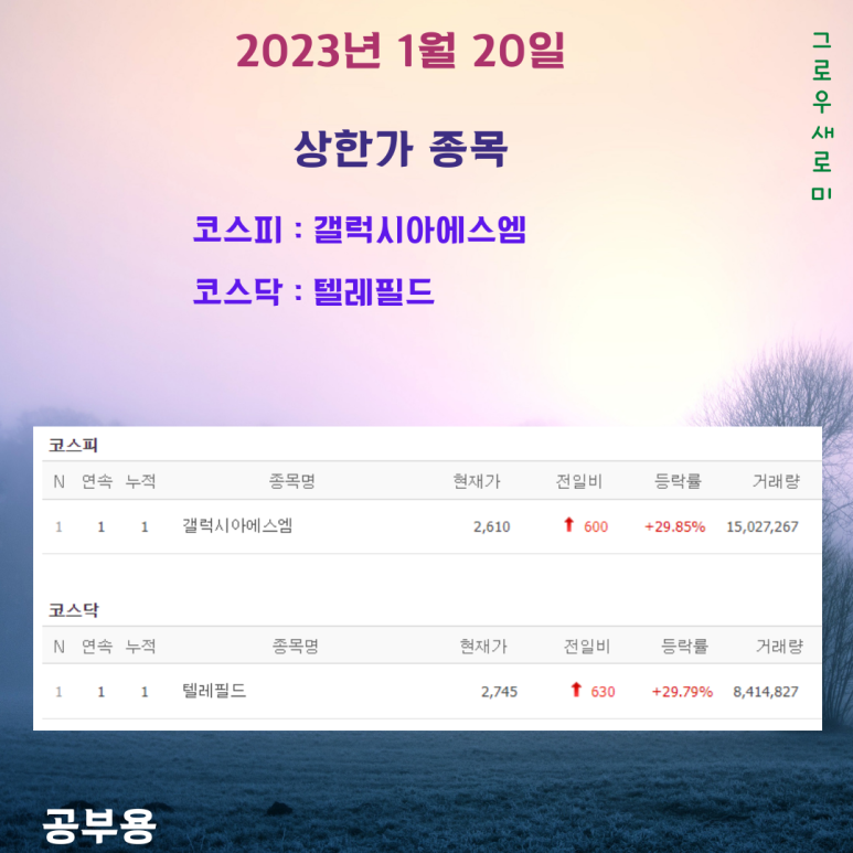 (주)갤럭시아에스엠 이미지