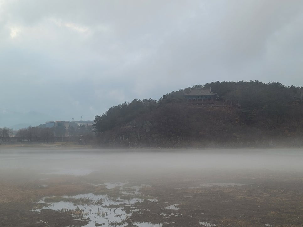 미리원 이미지