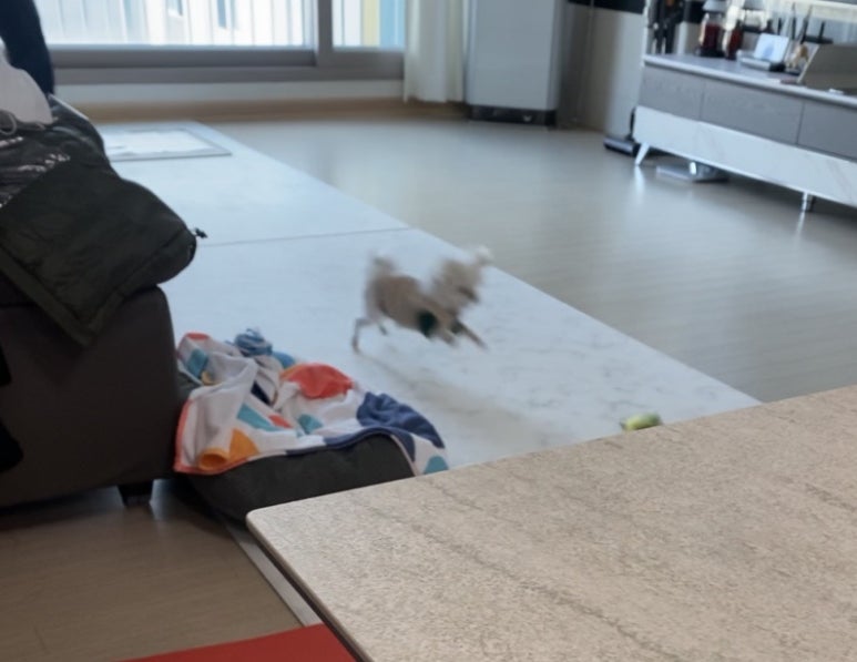 텐퍼센트좌동시장 이미지
