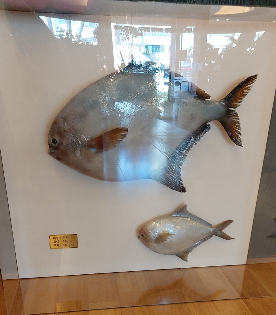 별스넥 이미지
