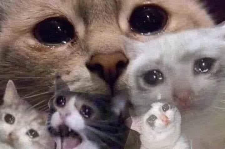 플러스투어 이미지