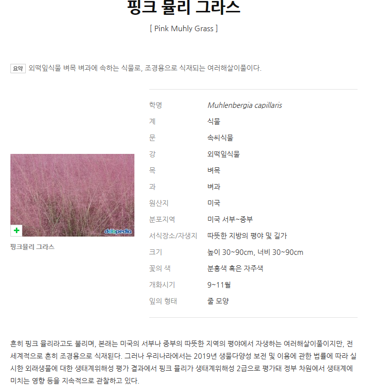 핀아드레 이미지