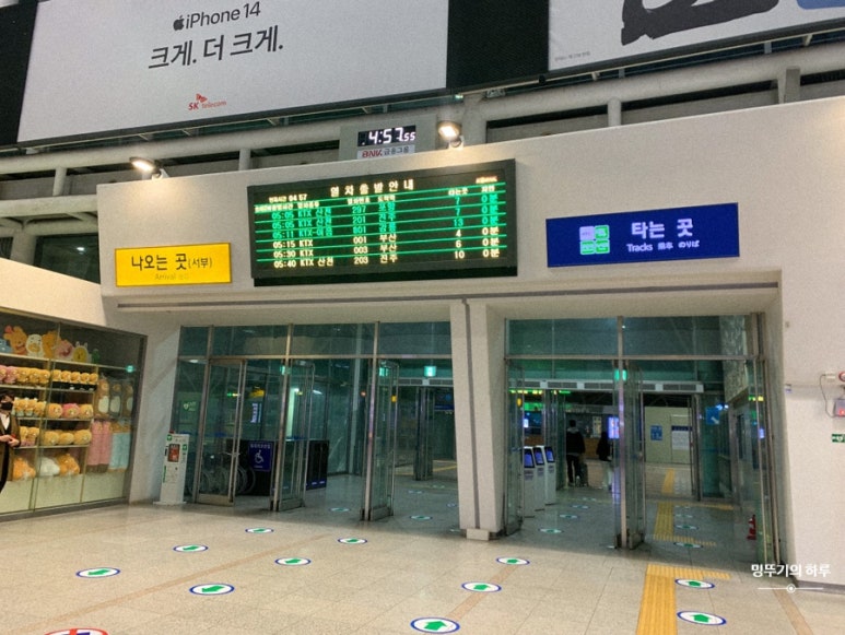 동자피시방 이미지