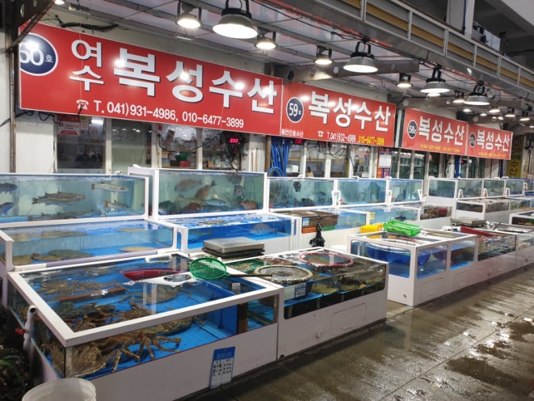 복성수산 이미지
