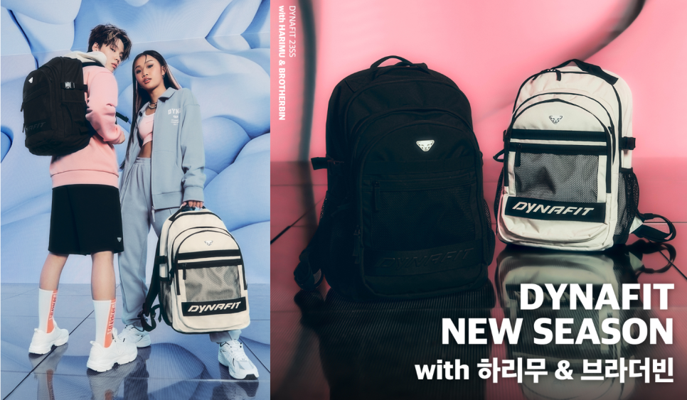 브라더개발 이미지