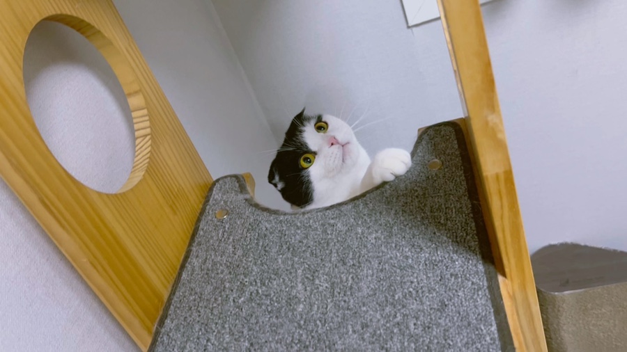 바리랑 이미지