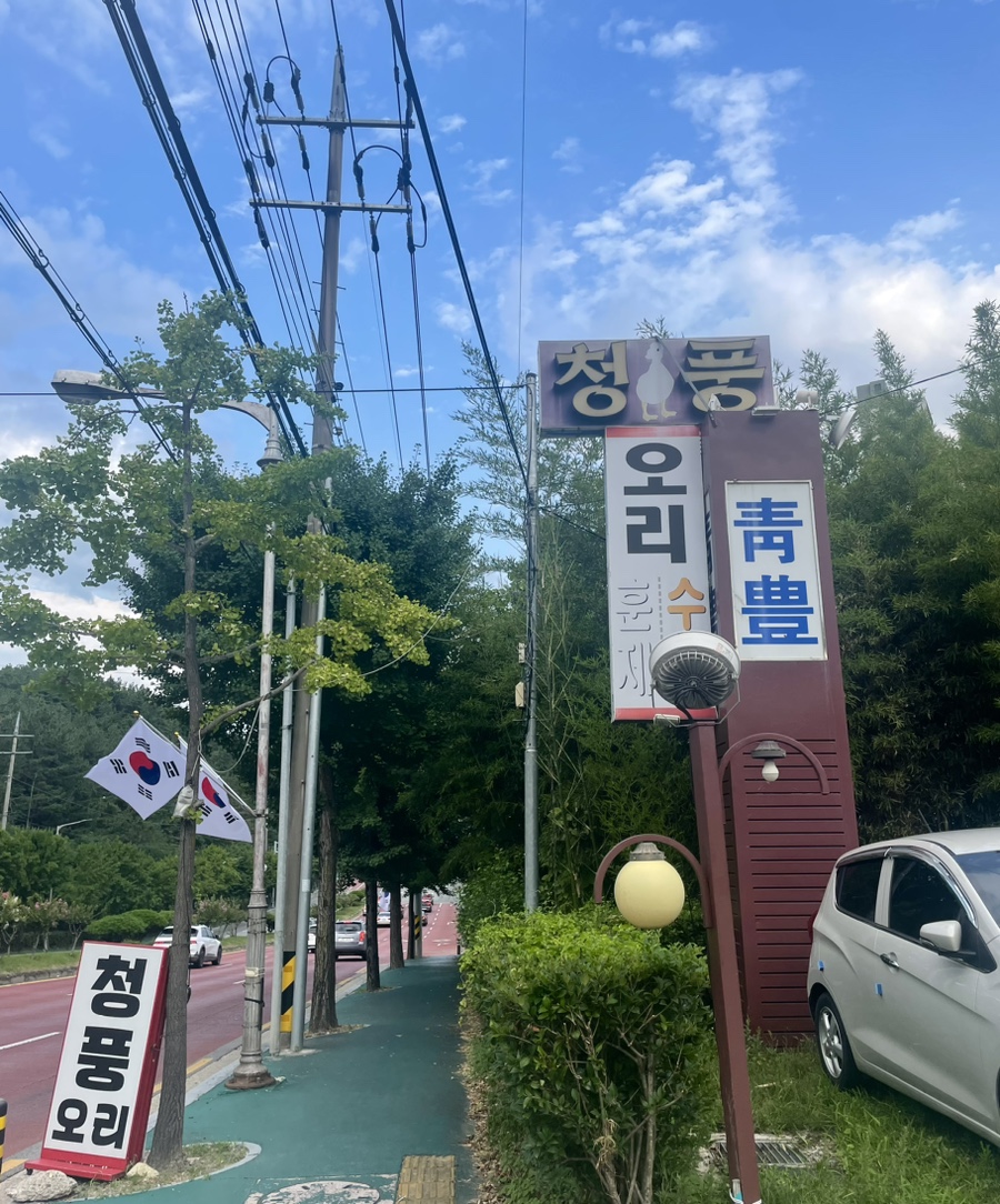 청풍오리 이미지