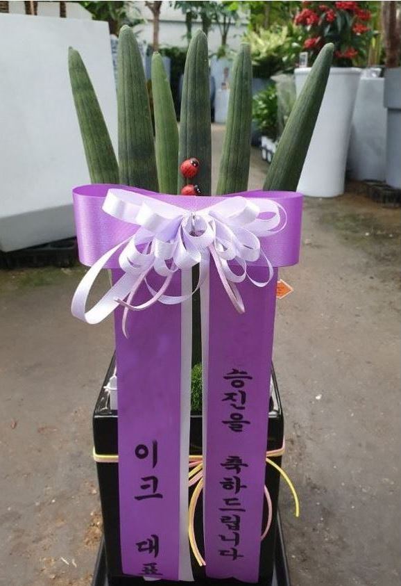 정원장례식장 이미지