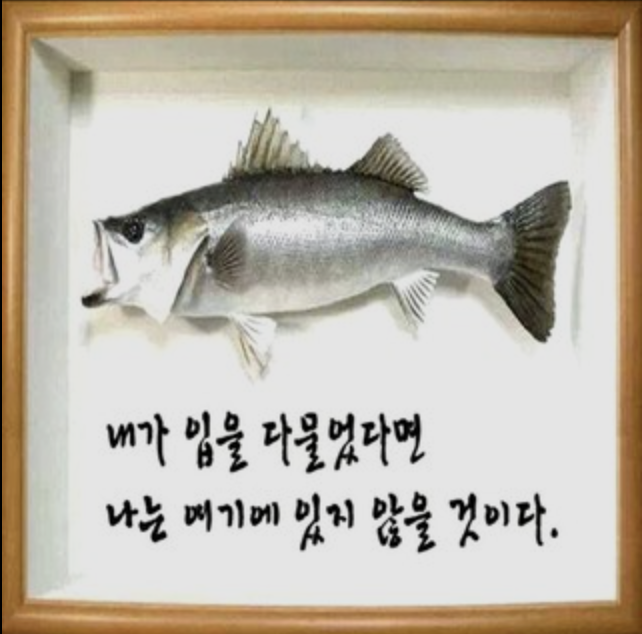 미상전자 이미지