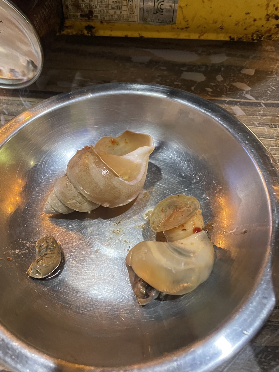바다 통골뱅이 이미지