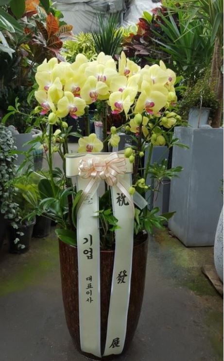 정원장례식장 이미지