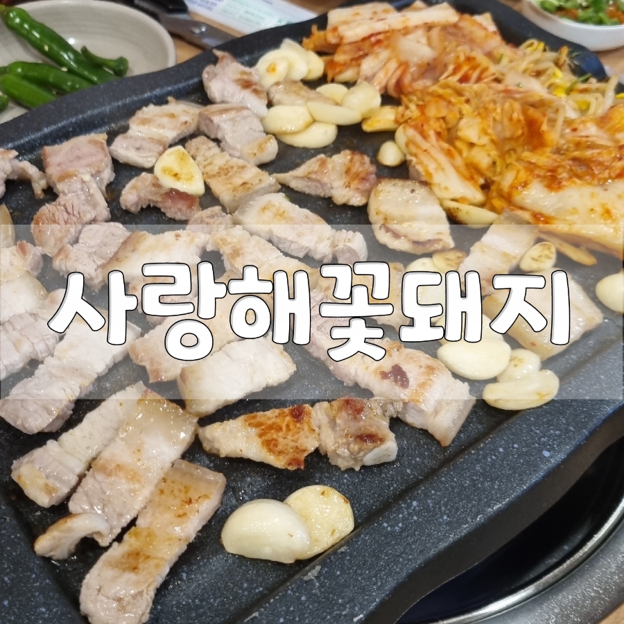 사랑해꽃돼지 이미지
