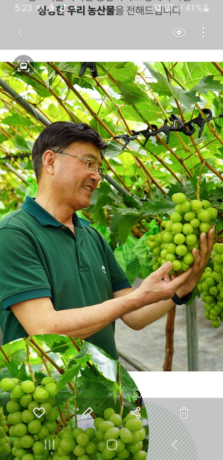 임마누엘 농장 이미지