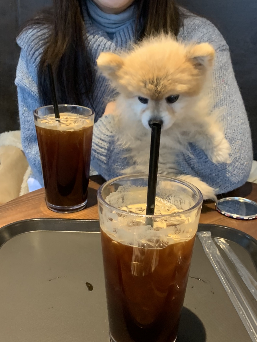 브루클린커피 이미지