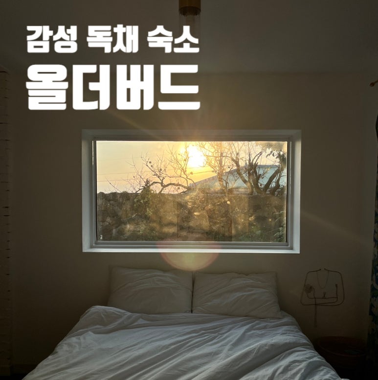 올더버드 이미지