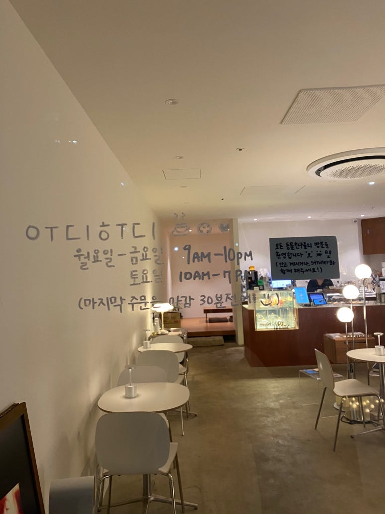 우디후디 이미지