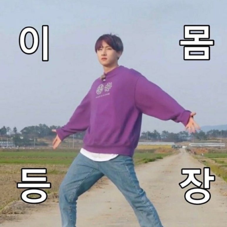 낭만고냥이 이미지