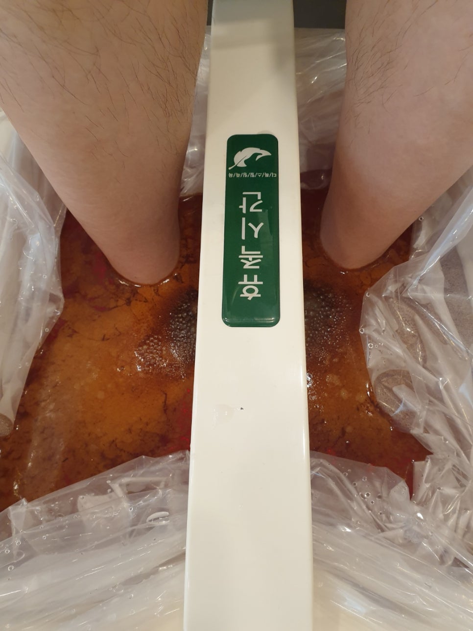 용현견과 이미지