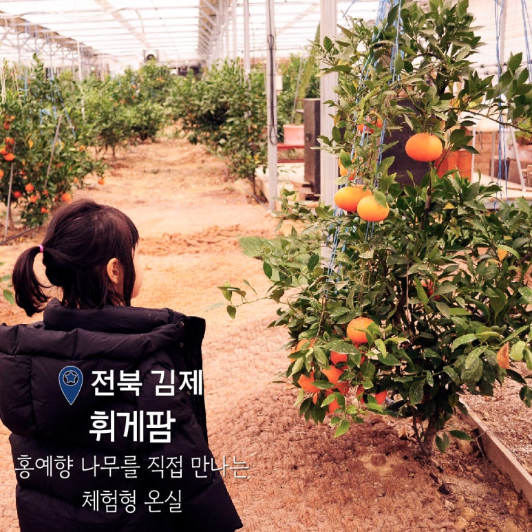 홍예팜 이미지