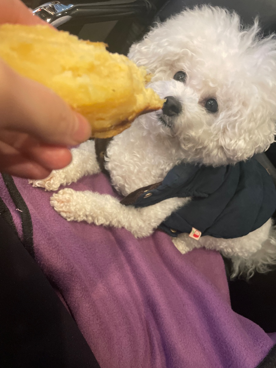 헤어바이호시 이미지