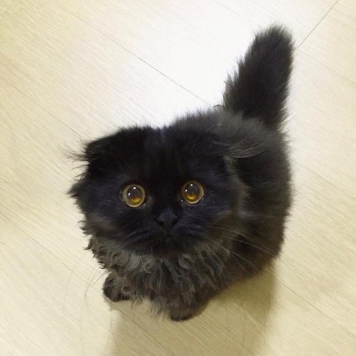컬러브러쉬 이미지