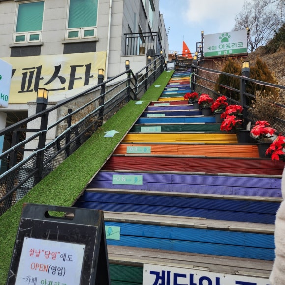 아프리코 이미지
