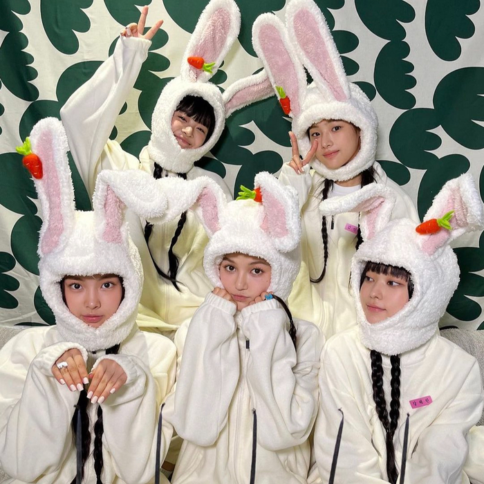 로하스캠핑 이미지