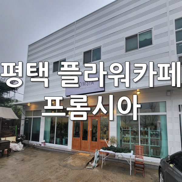 프롬시아 이미지