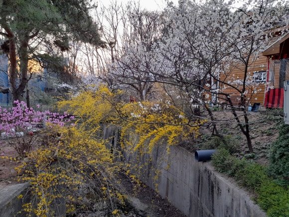 진달래펜션 이미지