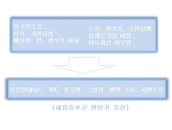 엘클린 이미지