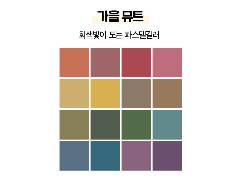 웜뷰티 이미지