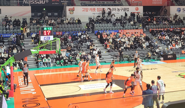 뒹굴뒹굴고양이 이미지