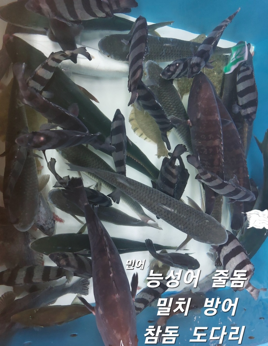 천금호 이미지