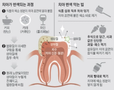 한미치과 이미지