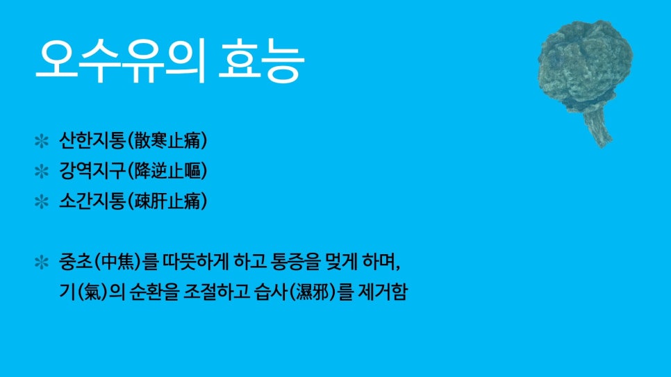 열매양품 이미지
