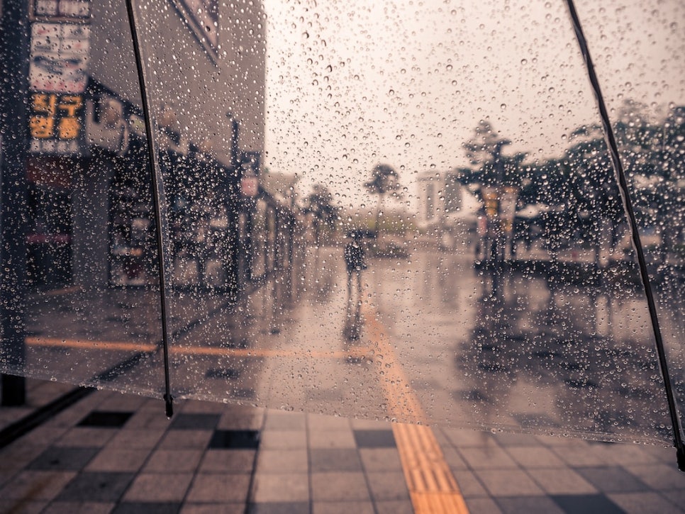 수(水)피부 이미지
