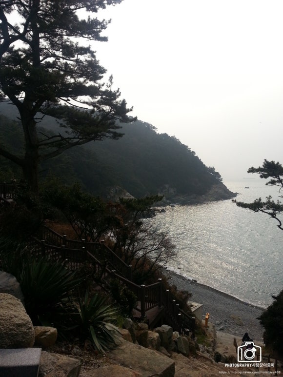 대웅수산 이미지