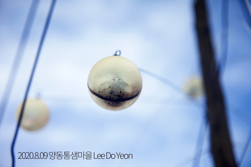 통샘 이미지